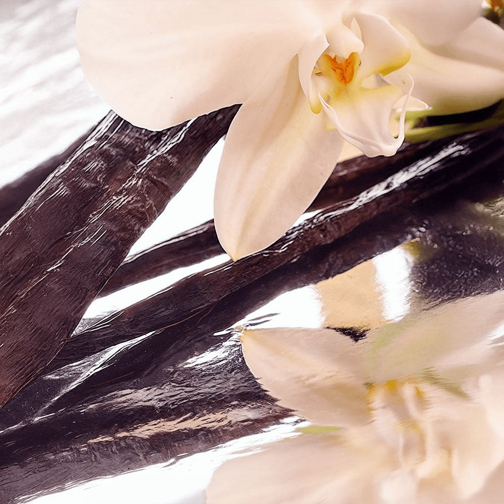 If Tallow Could Talk Whipped Grass-Fed Balm with Vanilla Bean